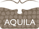 Aquila Design Logo